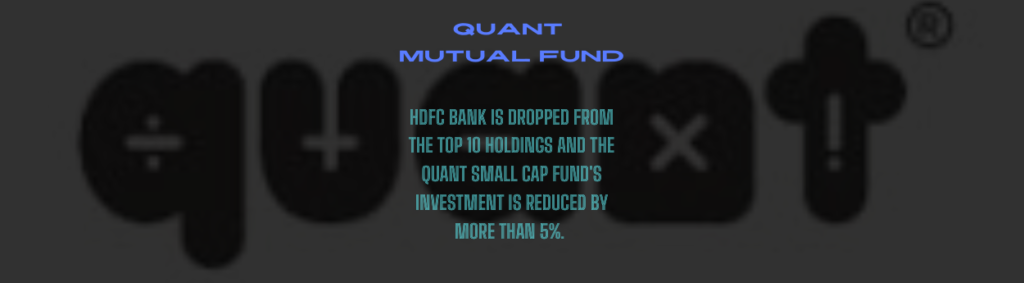 the top 10 holdings and the quant small cap fund's investment