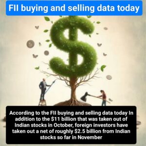 FII buying and selling data today